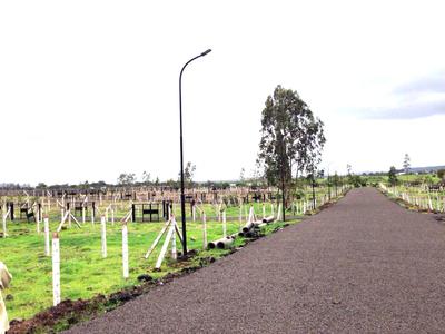 Project Image of 1867.0 - 5845.0 Sq.ft Residential Plot Plot for buy in Landscapes Nisargsrishti