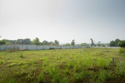 Project Image of 903.74 - 4717.07 Sq.ft Residential Plot Plot for buy in Suryo Udyog Green Village