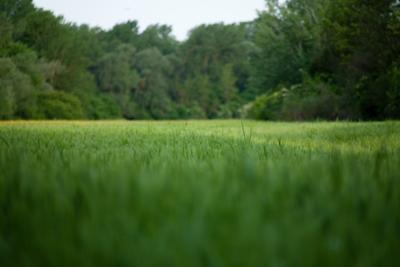 Project Image of 1323.0 - 3600.0 Sq.ft Residential Plot Plot for buy in Ramky Brindavanam