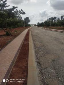 Project Image of 1200.0 - 4000.0 Sq.ft Residential Plot Plot for buy in Lone Star Tuscany