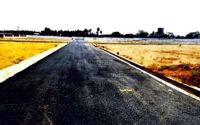 Project Images