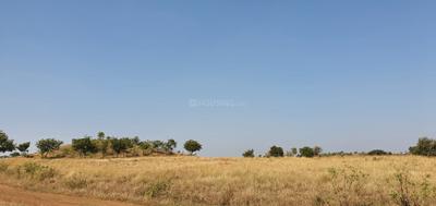 Golden Grass Plot 1