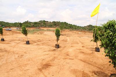 Project Image of 1350.0 - 9000.0 Sq.ft Residential Plot Plot for buy in LNR Sree Yadadri Township