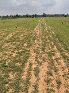 Project Image of 2520.0 - 3600.0 Sq.ft Residential Plot Plot for buy in Sawera Star City