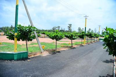 Project Image of 900.0 - 2400.0 Sq.ft Residential Plot Plot for buy in SKH Echium Phase 1