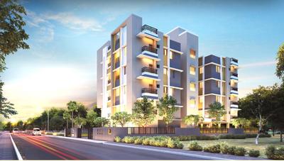 Adonis Aleya Elevation 1