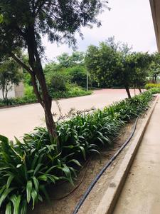 Project Image of 800.0 - 1500.0 Sq.ft Residential Plot Plot for buy in Wallfort Wood Phase I