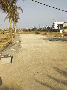 Project Images