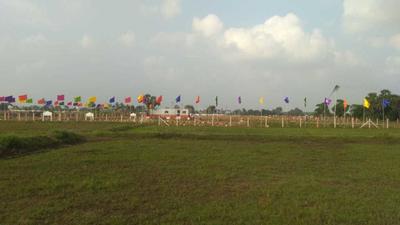Project Image of 425.0 - 2400.0 Sq.ft Residential Plot Plot for buy in OMR Golden City
