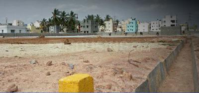 Ani Eco Zone Elevation 1