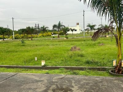 Project Images