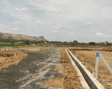 Project Images