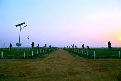 Project Image of 13608.0 - 36288.0 Sq.ft Residential Plot Plot for buy in Ecnon Sports Land