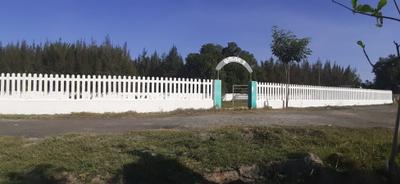 Project Image of 528.0 - 3700.0 Sq.ft Residential Plot Plot for buy in Grand Harish Avenue
