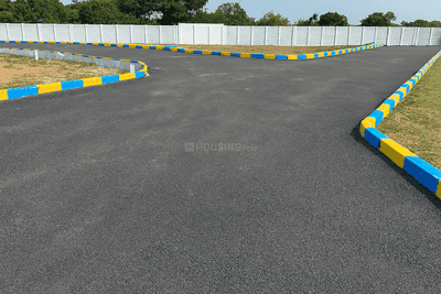 Project Images