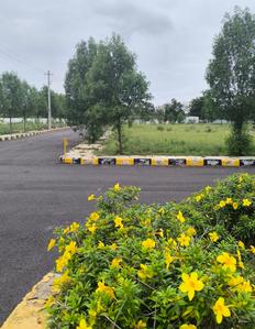 Project Image of 1350.01 - 4226.02 Sq.ft Residential Plot Plot for buy in Dharani Gayathri Enclave