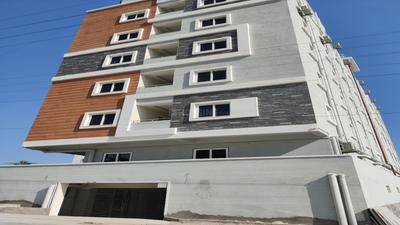 BS Habitat Elevation 2