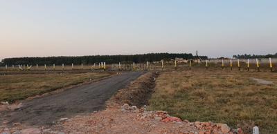 Project Image of 700.0 - 2400.0 Sq.ft Residential Plot Plot for buy in SS Sri Vadivudaiamman Nagar