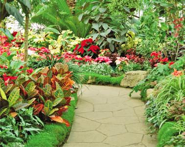 Project Image of 985.0 - 1335.0 Sq.ft 2 BHK Apartment for buy in ILD GSR Drive