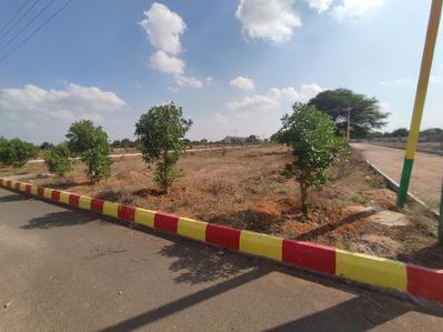 True Gold Hills 106697741.jpg 1