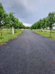 Project Image of 363.71 - 8770.97 Sq.ft Residential Plot Plot for buy in Aanyarayan Emerald Avenue