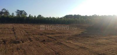 Project Image of 1200.0 - 2180.0 Sq.ft Residential Plot Plot for buy in Confident Platinum Phase II