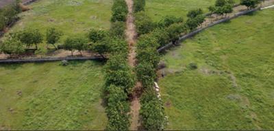 Project Image of 6615.0 - 10800.0 Sq.ft Residential Plot Plot for buy in A Shridhar Kalrav Seasons
