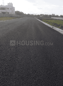Project Images