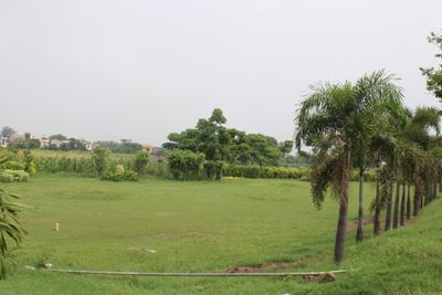 Project Image of 900.0 - 2250.0 Sq.ft Residential Plot Plot for buy in Chandigarh Royale City