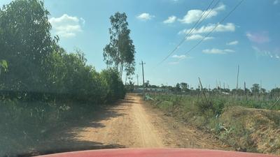 Project Image of 5178.0 - 11433.0 Sq.ft Residential Plot Plot for buy in PK Mango Nest Farmlands