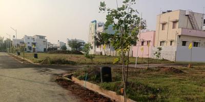 Project Images