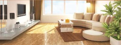 Jupiter Galaxy Living Area 1