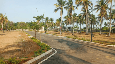 Project Image of 775.0 - 2000.0 Sq.ft Residential Plot Plot for buy in Sapphire Garden Phase 1