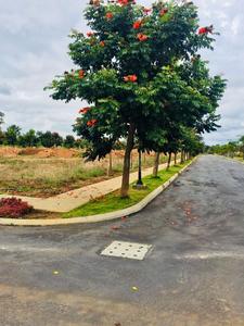 Project Image of 1575.0 - 5400.0 Sq.ft Residential Plot Plot for buy in Hebron Le Lexuz StoneView