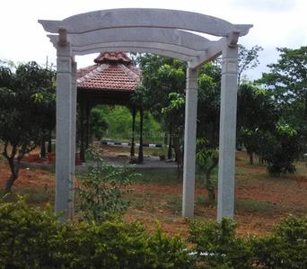 Project Image of 4500.0 - 5247.0 Sq.ft Residential Plot Plot for buy in Vasundhara Tree Park