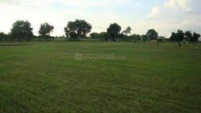 Project Image of 850.0 - 1552.0 Sq.ft Residential Plot Plot for buy in SVP RPG Sri Ramanar Nagar