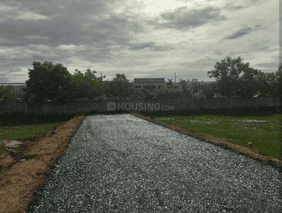 Project Images