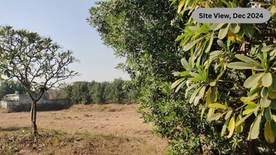 Project Image of 981.0 - 1800.0 Sq.ft Residential Plot Plot for buy in SDS NRI Township Plots
