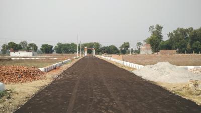 Project Images