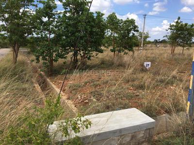 Project Image of 1453.02 - 3532.93 Sq.ft Residential Plot Plot for buy in GSS Akshaya Siri