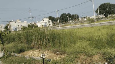 Project Images