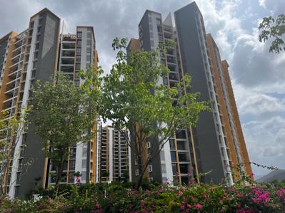 Project Image of 552.94 - 642.5 Sq.ft 2 BHK Apartment for buy in Shapoorji Pallonji Sensorium Phase IV