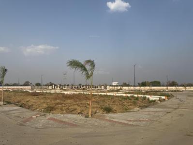 Project Images