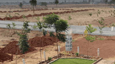 Project Image of 590.4 - 6335.96 Sq.ft Residential Plot Plot for buy in Aranya City Of Woodland Pacheda