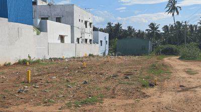 Prime Axis Properties Elevation 3