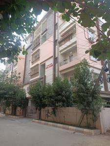 Greater Jewel Paradise Elevation 1