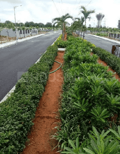 Project Image of 1571.0 - 3536.0 Sq.ft Residential Plot Plot for buy in Sterling Aster