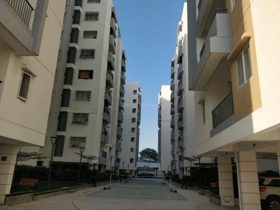 Project Image of 1250.0 - 1770.0 Sq.ft 2 BHK Apartment for buy in Qualitas Serenity Park