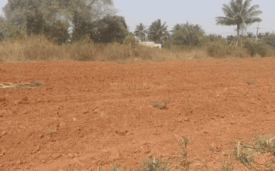 Project Image of 532.81 - 19634.13 Sq.ft Residential Plot Plot for buy in KNS Mudra