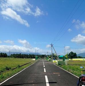Project Images